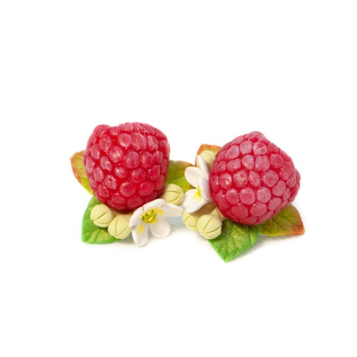 Leverback earrings – raspberries