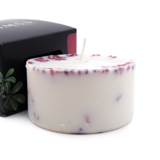 Soy Wax Candle with Plants and Berry Aroma